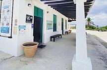 Private Jeep Tour and Punta Sur Park in Cozumel
