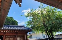 Seoul: Bukchon Hanok Village Walking Tour