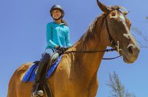 Horseback Ride and Swim from Montego Bay