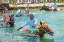 Horseback Ride and Swim from Montego Bay