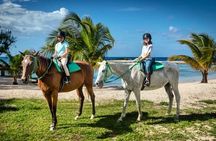 Horseback Ride and Swim from Montego Bay