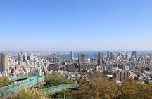 Private Car - Experience Kobe City's Best Gems in a private car