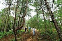  Full day Trekking On Langbiang Mountain 