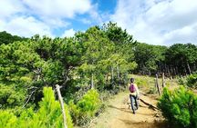  Full day Trekking On Langbiang Mountain 