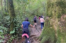  Full day Trekking On Langbiang Mountain 