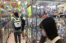 Private Akihabara Anime Guided Walking Tour 