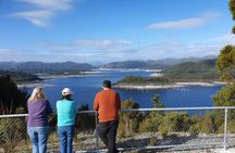 From Hobart: Gordon Dam and Lake Pedder Wilderness Day Tour