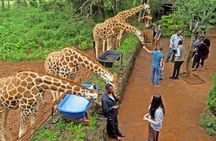 Giraffe Centre and Bomas of Kenya Full-Day Tour from Nairobi