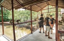 Small-Group Tour to Can Gio Vam Sat Mangrove Forest