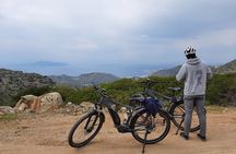 From Athens: Aegina Island E-bike & walking day tour