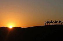 Agafay Desert Sunset, Camel Ride, and Dinner Show