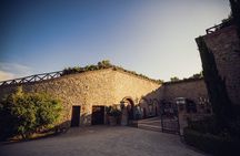 2 Hours Visit and Wine Tasting with tastings in Val D'Orcia
