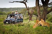 5 Day Private Guided Wildebeest Migration Tour
