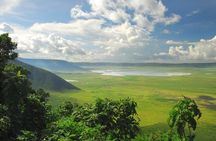 1 Day Ngorongoro Crater Group Jioning Safari