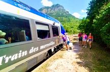 Train Experience Through The Alps (Full Day)
