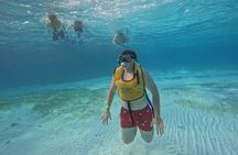 Jungle Tour Adventure Cancun