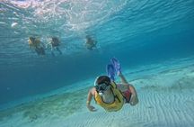 Jungle Tour Adventure Cancun