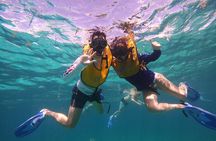 3 in 1 Jungle Tour Adventure Cancun