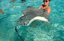 Stingrays and Starfish Point Tour