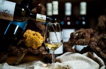 Ston Seafood & Pelješa Wine Boat Tour with Oysters and Mussels
