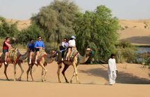 Dubai Desert Safari with Camel Riding, Sandboarding & Dinner