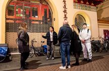 Private Amsterdam Red Light District tour including sex museum 