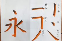 Calligraphy and Tokyo Great Buddha, Botanical garden, art museum