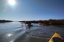 3 Hour Guided Kayaking Tour in Lake Titicaca