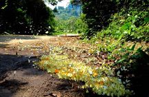 Ninh Binh Vietnam 2 Days - Discover multiple wonderful places