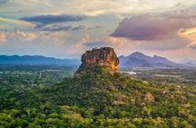 Sigiriya and Dambulla Private Day Tour by Tuk-Tuk or Car