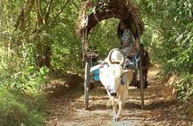 Sigiriya and Dambulla Private Day Tour by Tuk-Tuk or Car