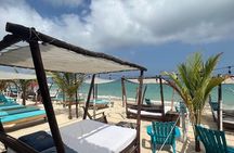  Private Beach Tour in Barú and Optional Bird Aviary