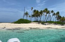  3 Islands Tour, Swim with Pigs, Turtles, Snorkelling & lunch 