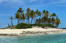  3 Islands Tour, Swim with Pigs, Turtles, Snorkelling & lunch 
