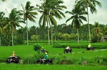 Bali ATV Ride tour Ubud 