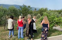 Family-run Vineyard Tour & Award Winning Wine Tasting/Delicacies