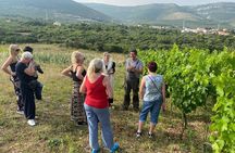 Family-run Vineyard Tour & Award Winning Wine Tasting/Delicacies