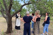 Authentic Dalmatian Wine & Olive Oil Tasting - Live Music & View