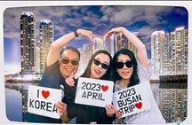 Busan Private Tour with licensed tour guide + private vehicle