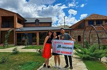 Kakheti - Small wineries and family-cooked lunch • Private tour