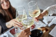 Wine Tour and Tasting of Lugana Wines in Desenzano