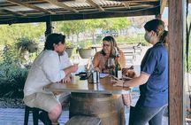Hunter Gleann Private Tour- Indulgence Wine Tour (Full Day)