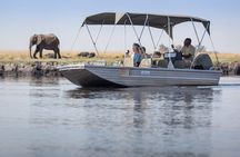 A 2 Day Victoria Falls & Chobe Safari Combo