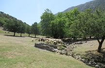 Trekking Rouvas Gorge