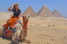 Pyramids of Giza half-day tour 