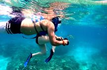 Jet Snorkeling Beginner Shipwreck Adventure With Videos