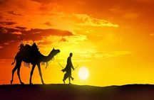 Desert Safari Dubai BBQ Dinner, Camel Ride & Dune Bashing