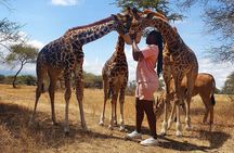 Private Day Tour in Serval Wildlife and Kikuletwa Hot Spring