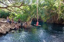 Private Day Tour in Serval Wildlife and Kikuletwa Hot Spring