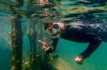Jet Snorkeling Beginner Shipwreck Adventure With Videos
